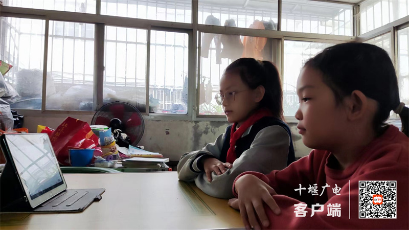 微信图片_20221018161057_副本