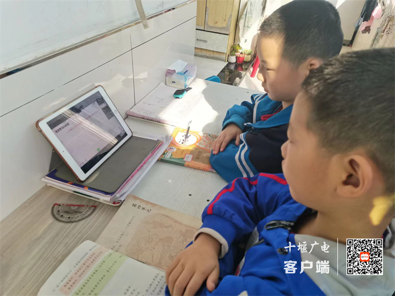微信图片_20221018161113_副本