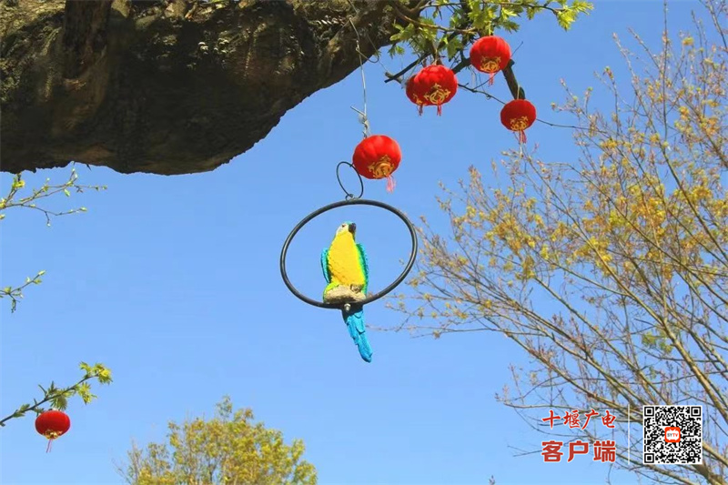西关2