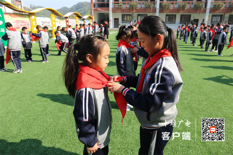 微信图片_20221020190703