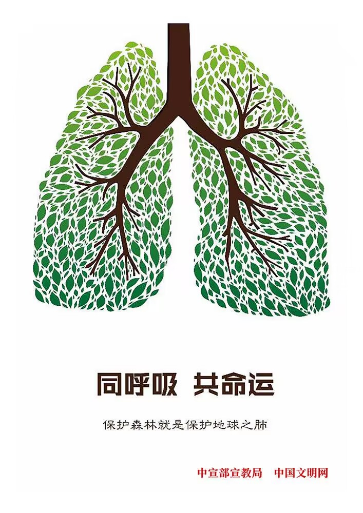 QQ图片20221025102746