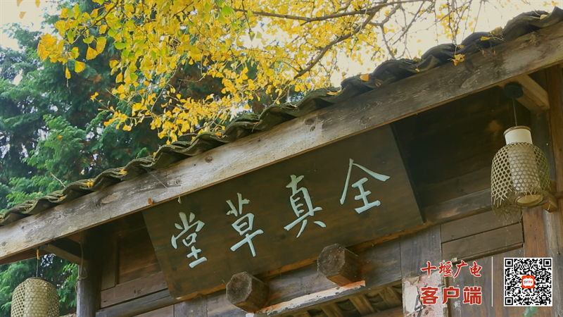 Still1201_00013_副本
