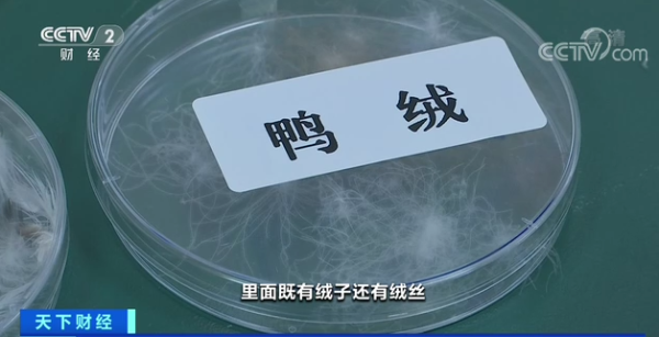 T-20221031152750-bd0698b6-2bfd-4eb4-93e9-443b99e3efb5