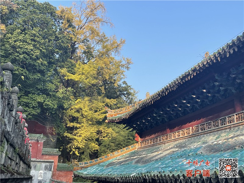 QQ图片20221104120621