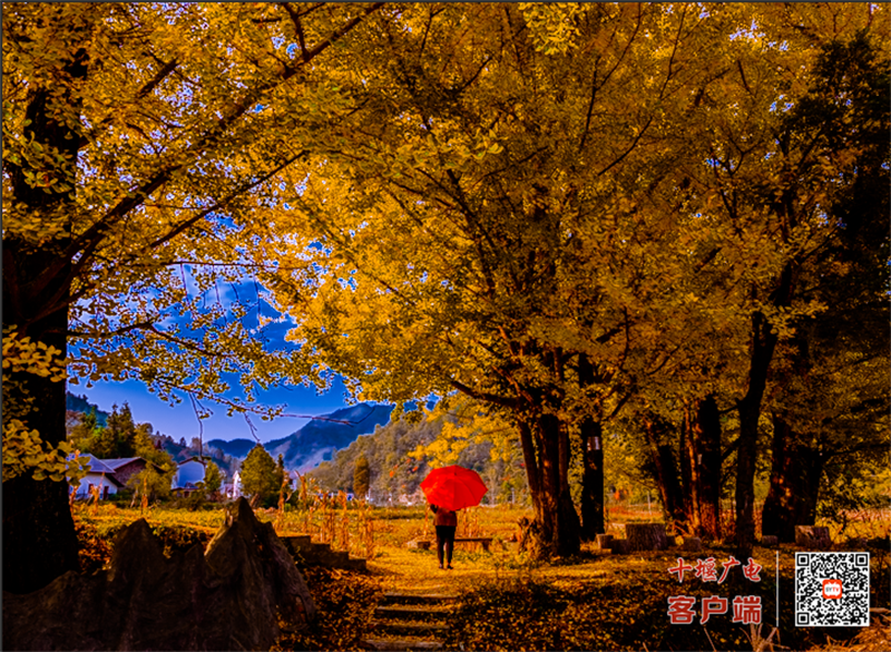 裴秋景1