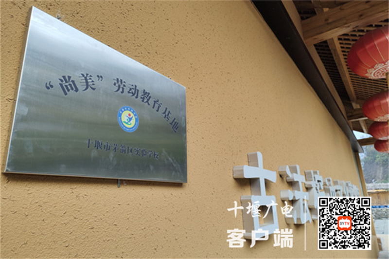 QQ图片20221109220008