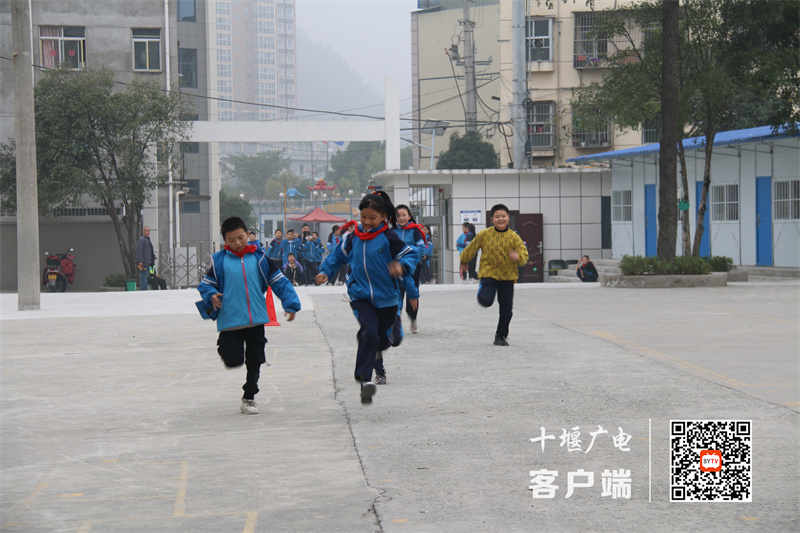微信图片_20221111194132_副本