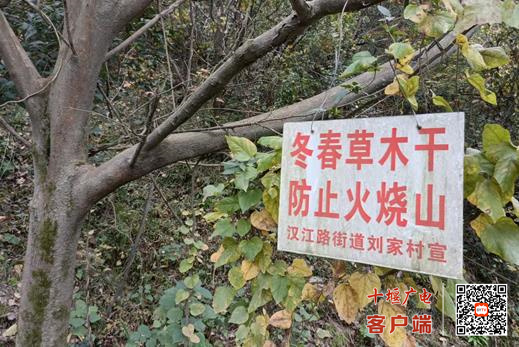360截图20221113113940171_副本