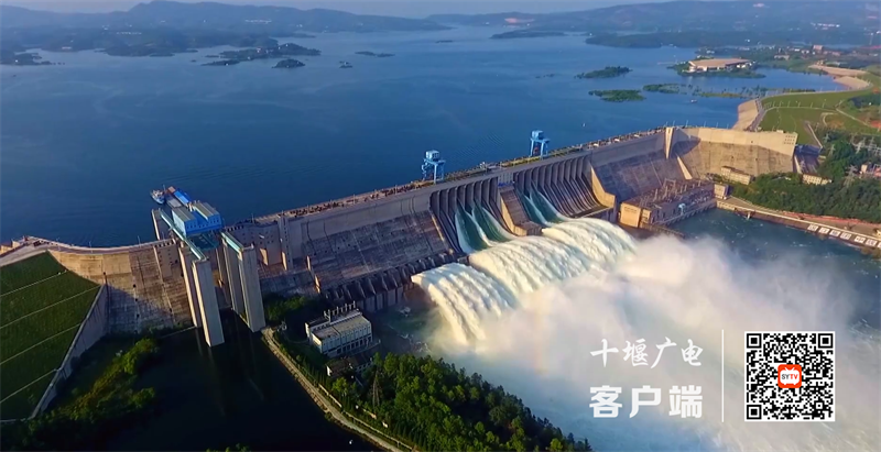 QQ截图20221116144642
