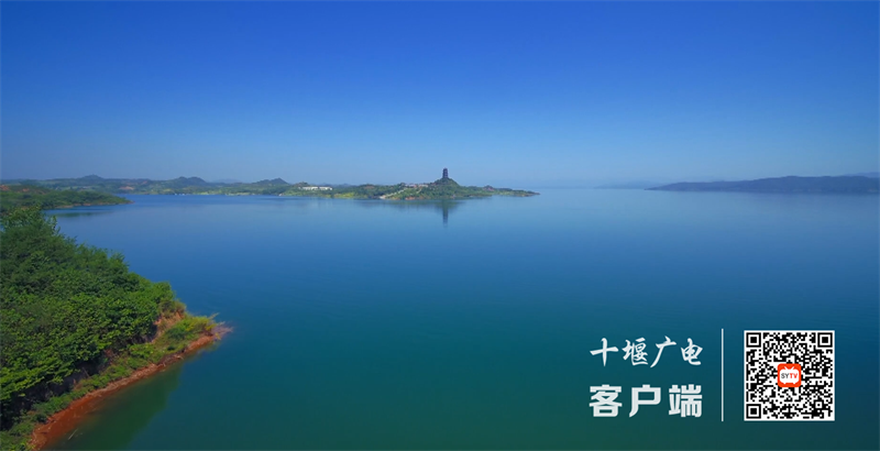 QQ截图20221116144552