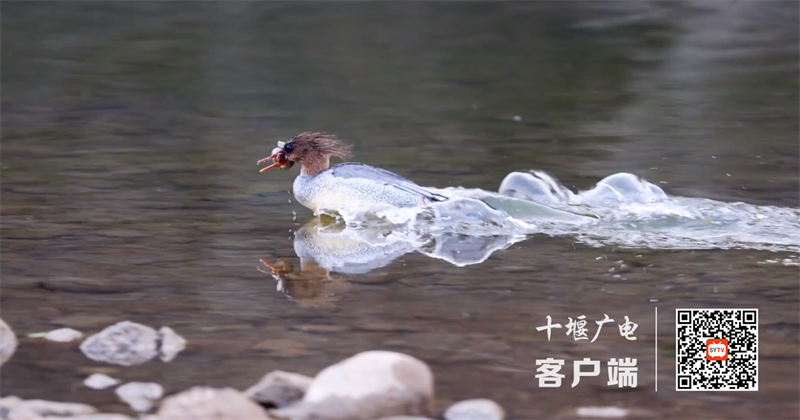 QQ截图20221116150946