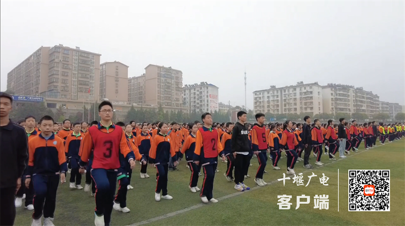 微信截图_20221118070436_副本