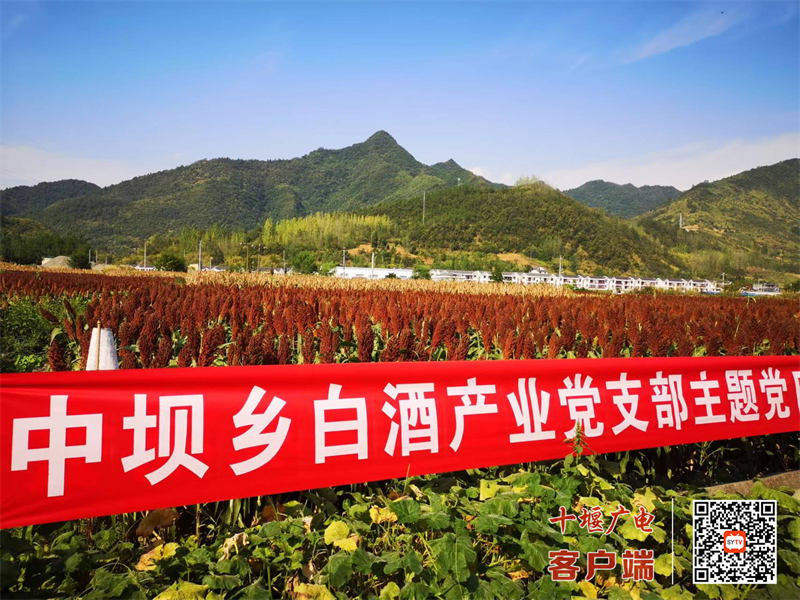 白酒产业党支部主题党日活动_副本