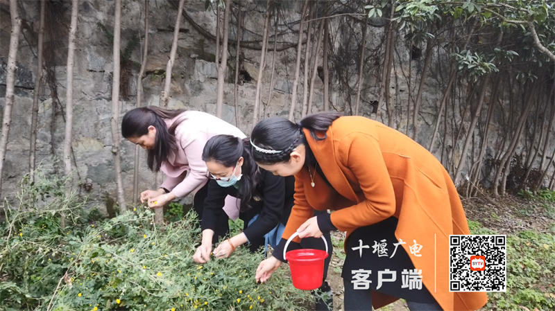 26_副本