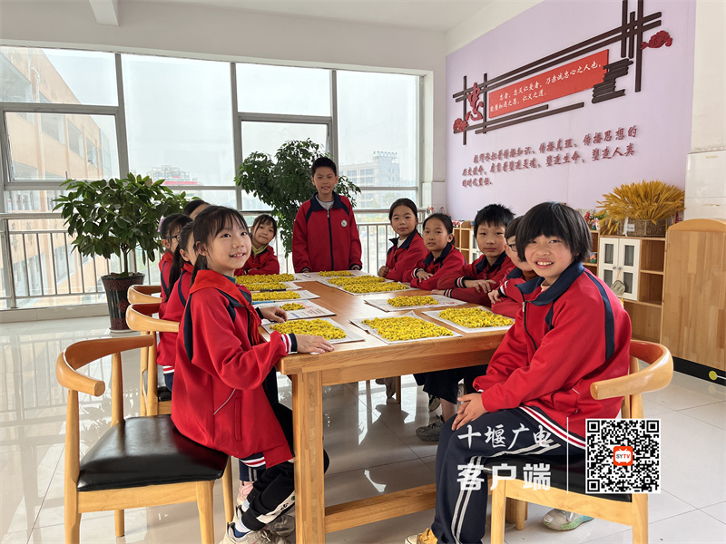 IMG_2805_副本