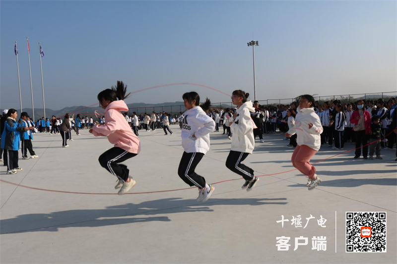 图片5