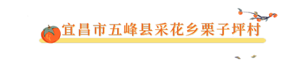 5489e099d950769a330a9e7eacc679e3