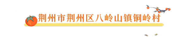 cc3a1f247c25a608d89e8582f64d8531