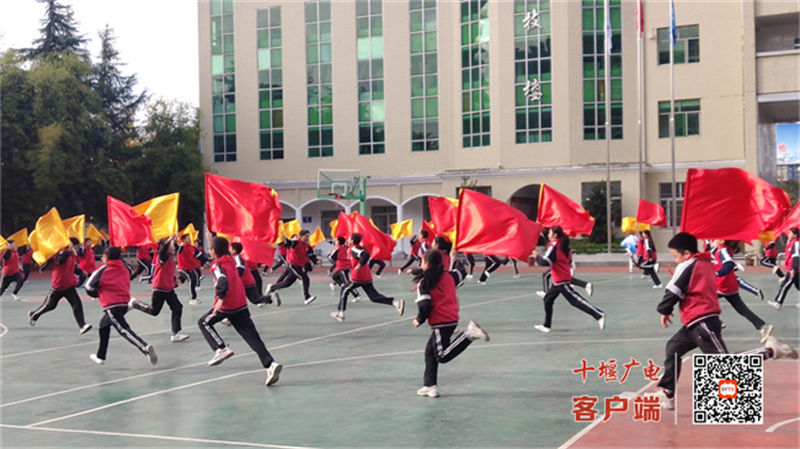 QQ图片20221124174859