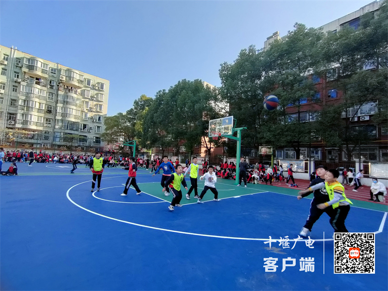 QQ图片20221125202100