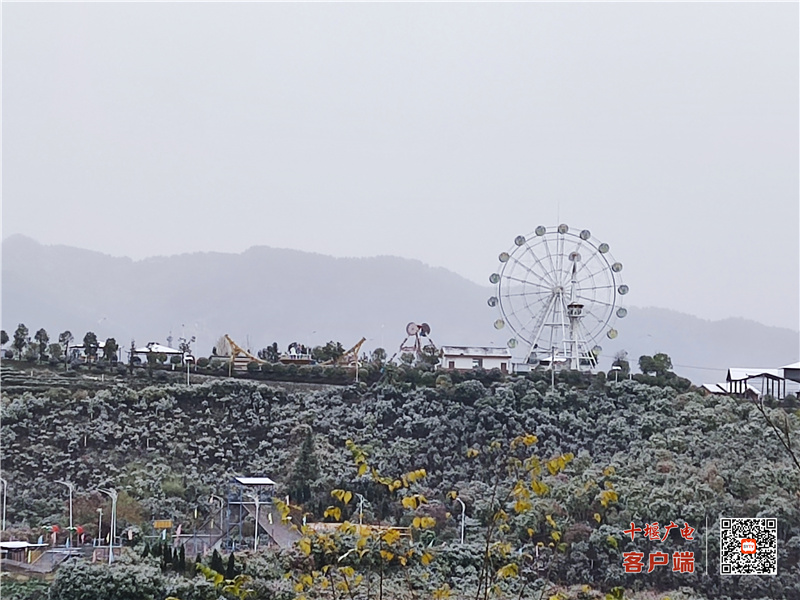 微信图片_20221130112222