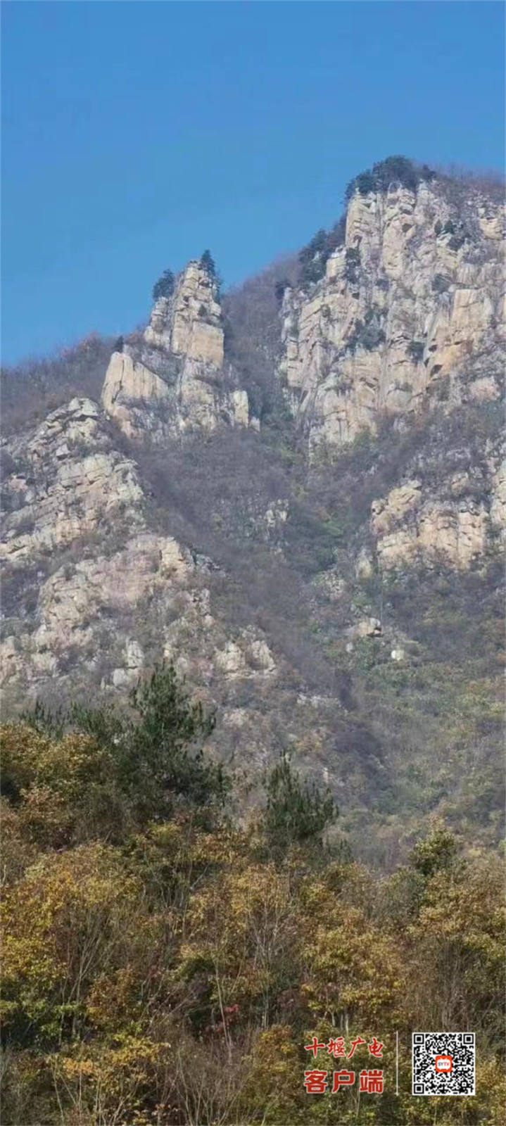 5_副本