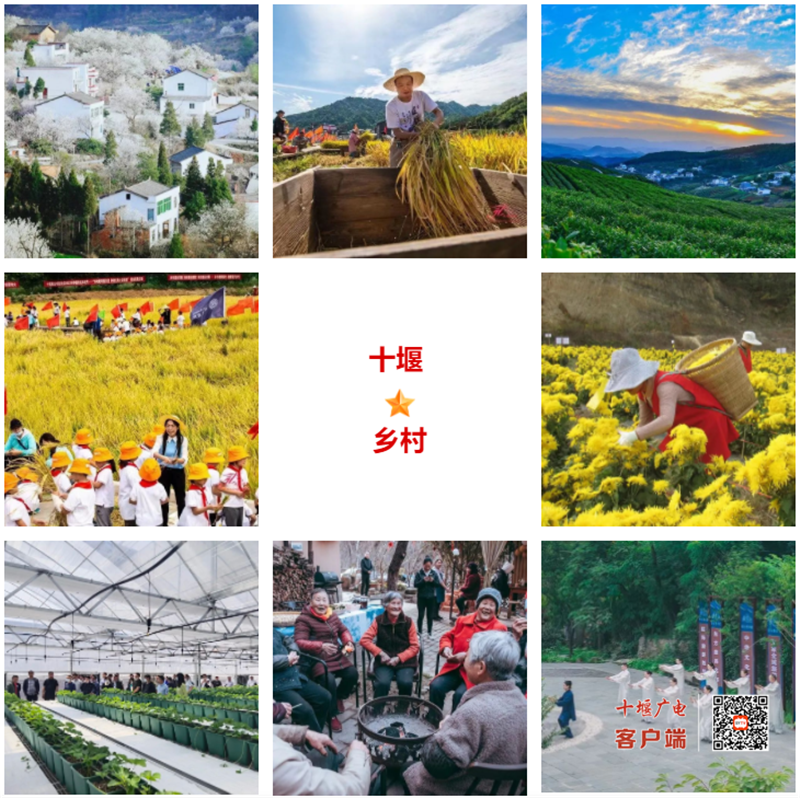 微信截图_20221206192433
