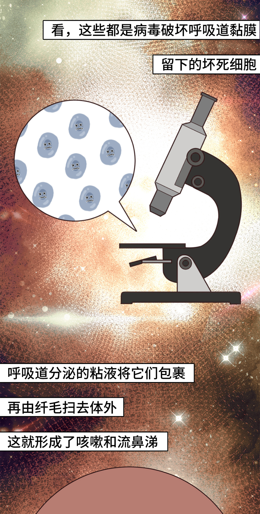 88ad5355-7993-4c6b-a2e2-1d8f7f68bd09_02