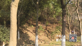 防火演练[00_00_47--00_00_51]