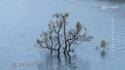 640 (4)