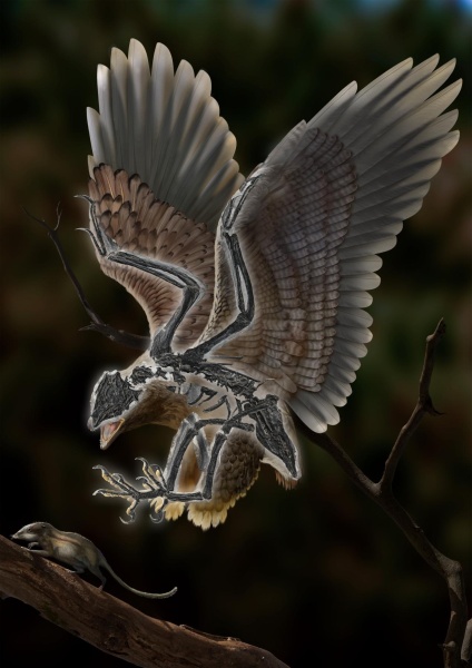 a_795030777334067201