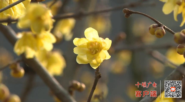 360截图20230111194946920_副本