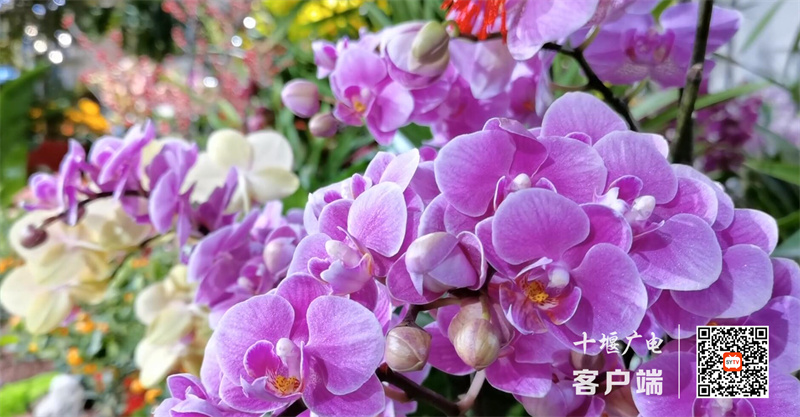 QQ截图20230118162641