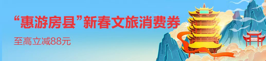 图片11