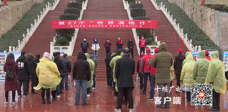 QQ截图20230202113949