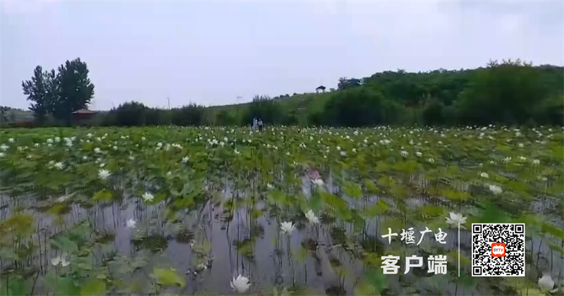 QQ截图20230202114100