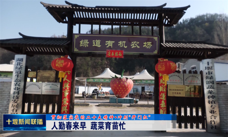 QQ截图20230207204103