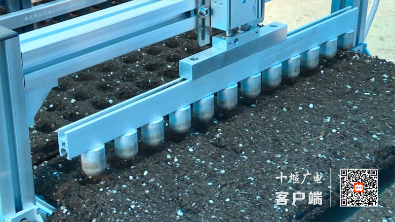蔬菜种植52万亩.mp4_20230209_161623798
