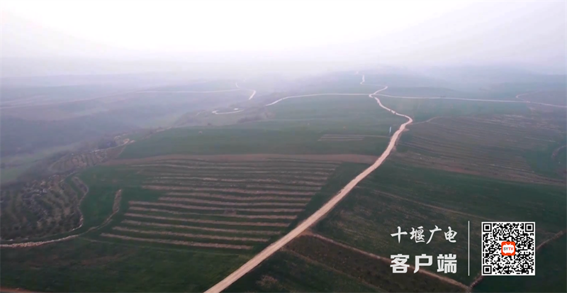 QQ截图20230209170153