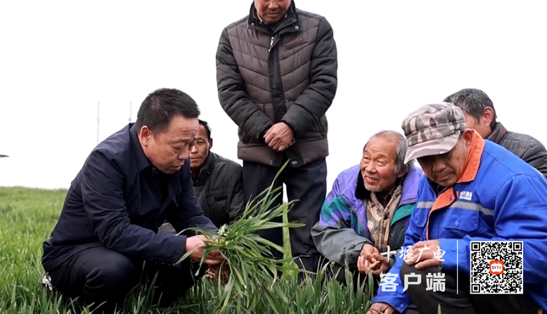 微信图片_20230209174555