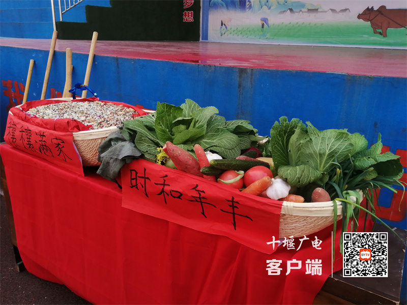 微信图片_20230217190948_副本