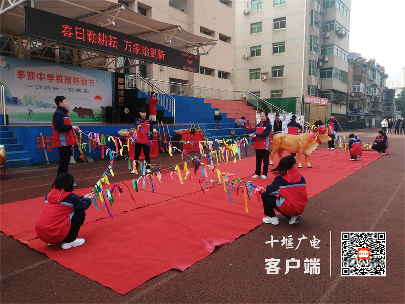 微信图片_20230217190952_副本