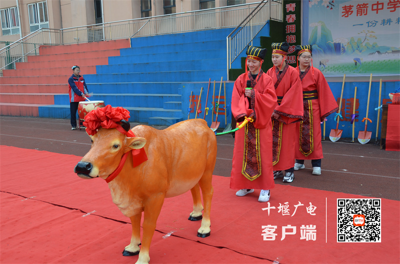 微信图片_20230217190829_副本