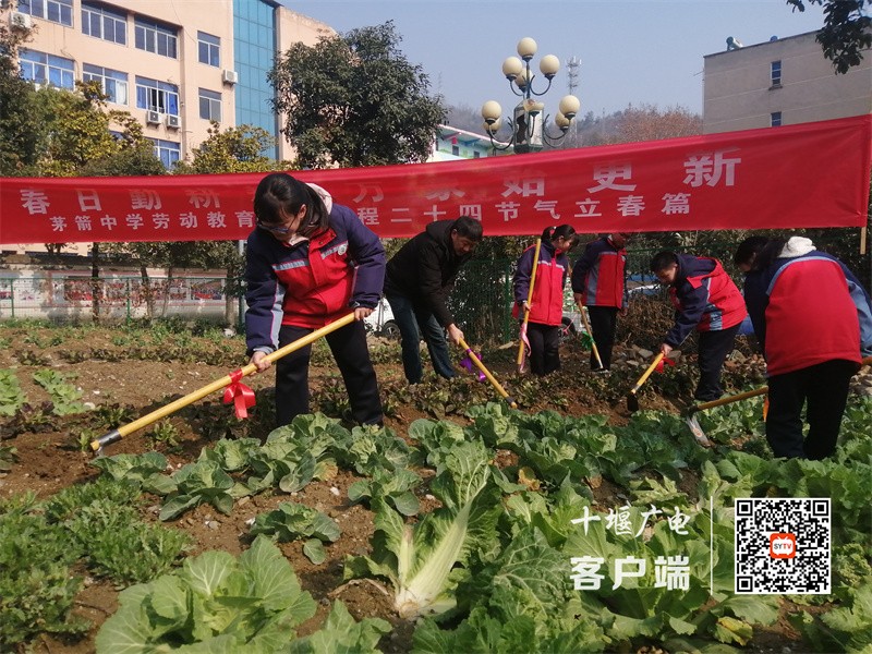 微信图片_20230217190956_副本