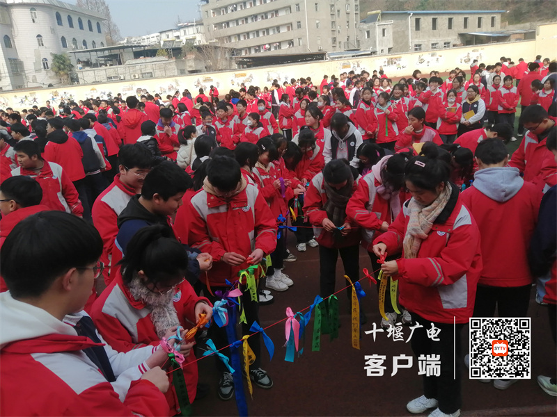 微信图片_20230217191001_副本