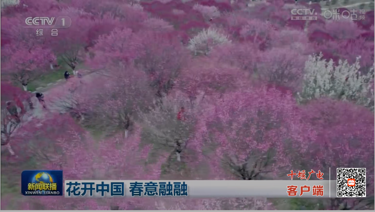 微信图片_20230221201829_副本