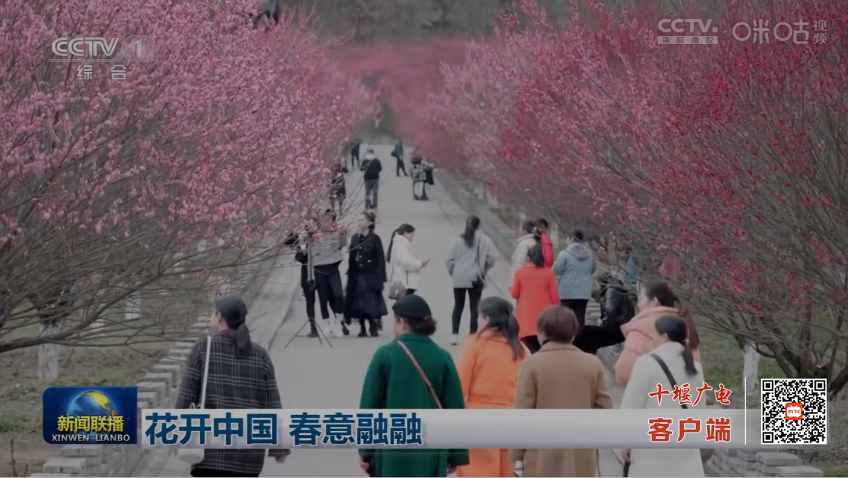 微信图片_20230221201834_副本