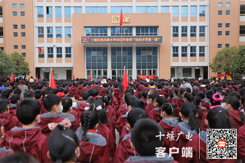 图片1