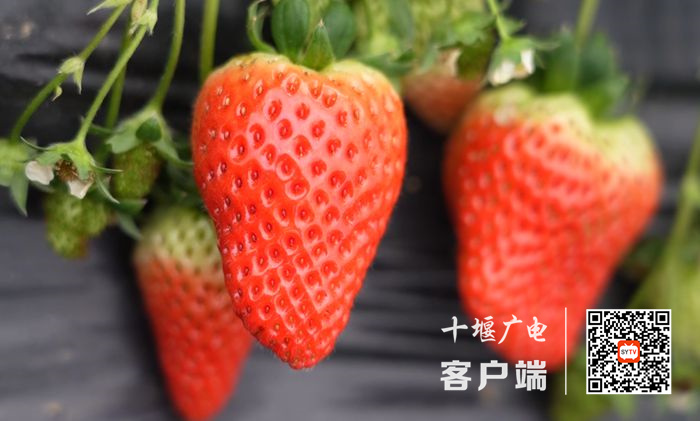 11_副本