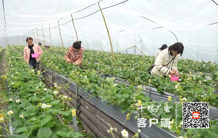 14_副本